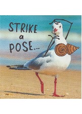 Strike A Pose